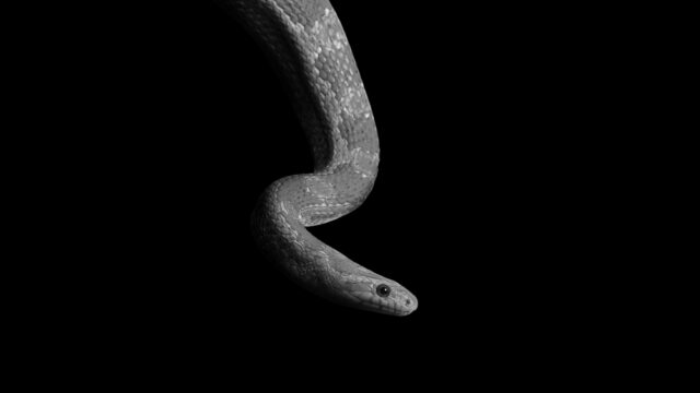 18 Spiritual Meanings When You Dream About Pooping 18 Spiritual Meanings When You Dream About Pooping