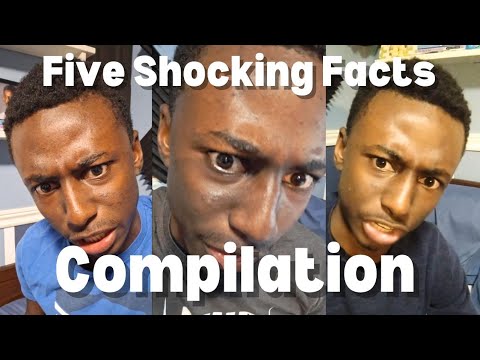 5 Shocking Facts Facts Interestingfacts Youtube