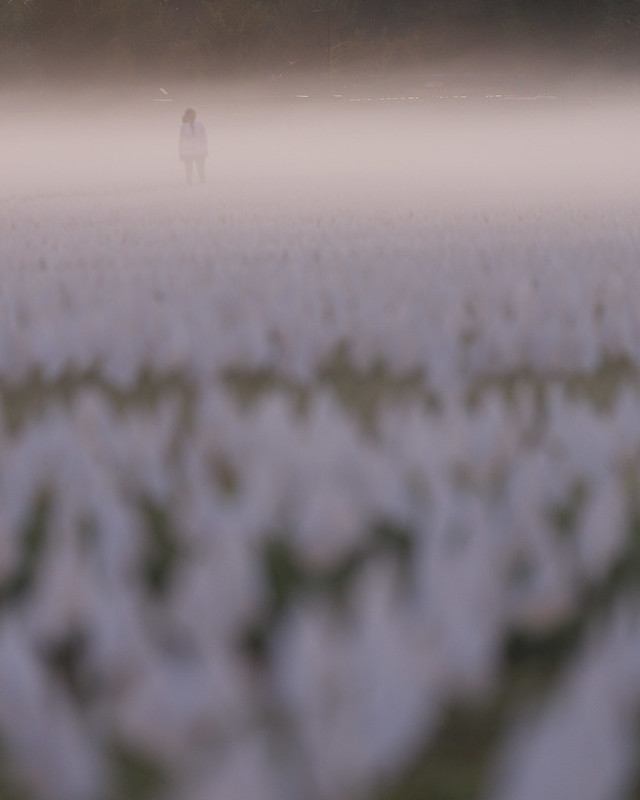 Fia S Fabulous Finds Nearly New Designer Clothing Boutique Coming To