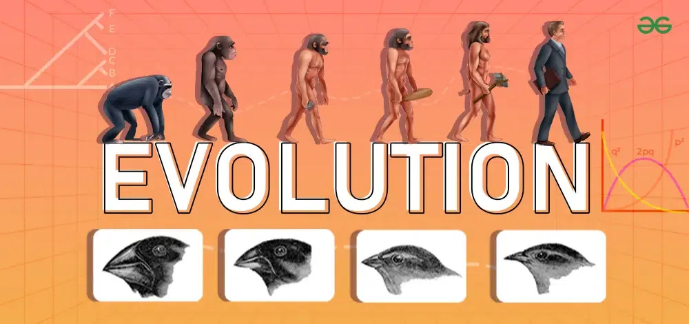 Interesting Facts About Evolution Geeksforgeeks Interesting Facts About Evolution Geeksforgeeks
