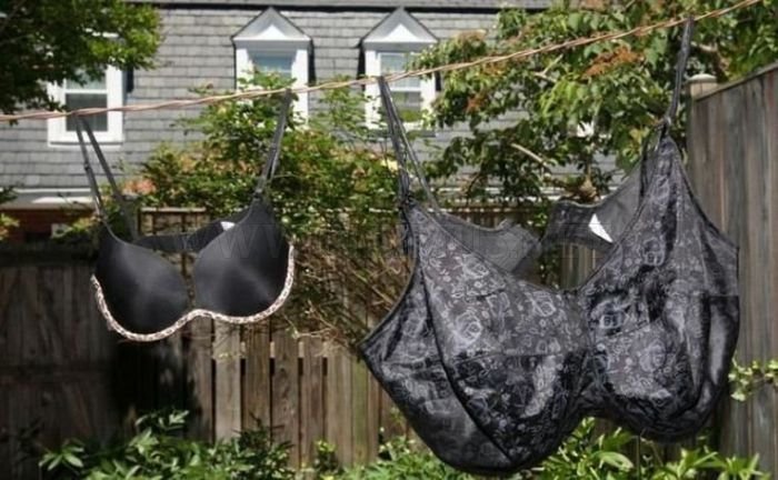 Norma Stitz: 7 Secrets Unveiled