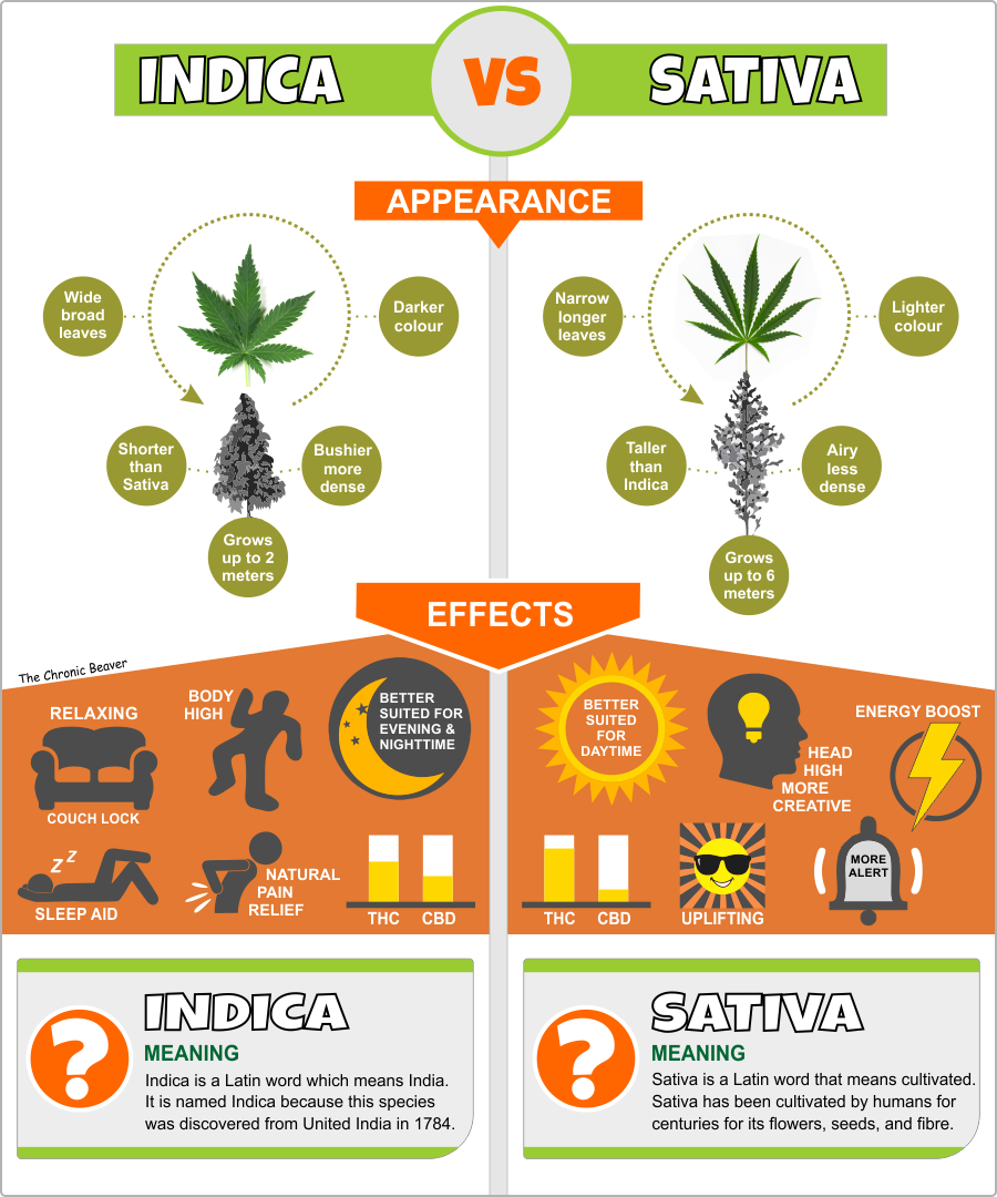 Sativa Vs Indica Chart Sativa Vs Indica Chart